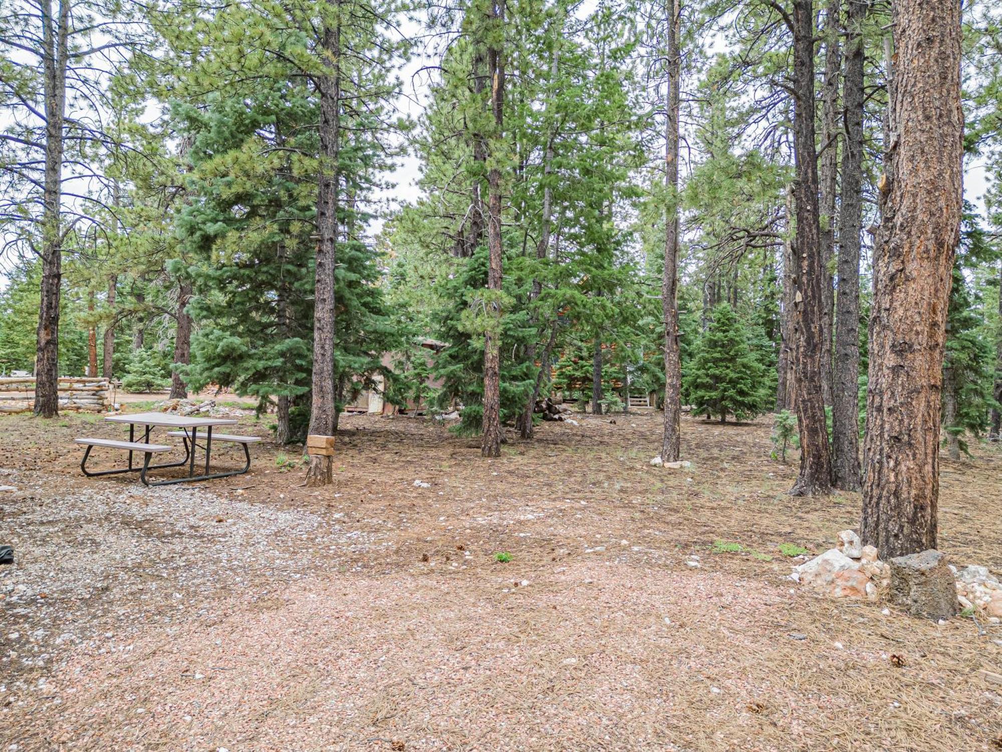 Hillside Hideaway Duck Creek Village Exterior foto